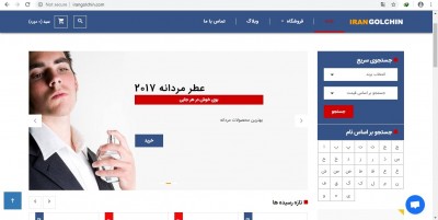 فروش دامین های رند و 2 سیلاب و قدمت دار irangolchin.com-irangolchin.ir