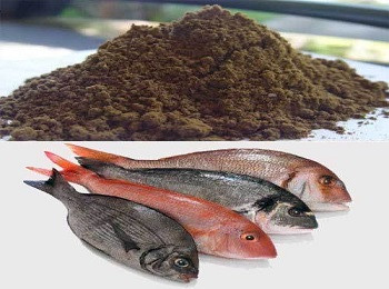 پودر ماهی - اکسید منیزیم - ذرت اکراین - سبوس برنج