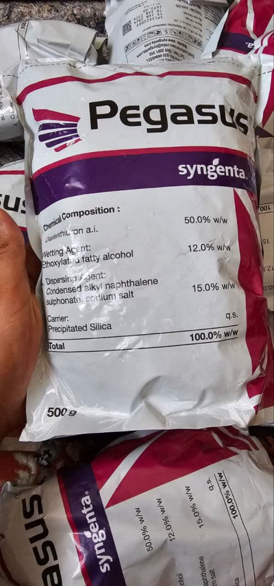 پگاسوس سینجنتا و ولوم هندی