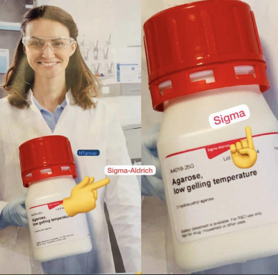 Agarose  sigma   