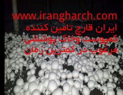 شرکت ایران قارچ با بیش از 12 سال سابقه در تامین انواع بذر قارچ دکمه ای ، انواع کمپوست قارچ دکمه ای