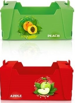 استفاده از کارتن پلاست در جعبه میوه و سبزیجات 09199762163