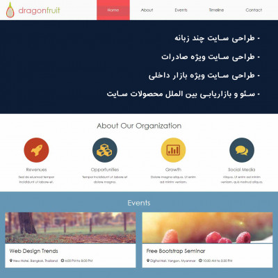 طراحی سایت چند زبانه ویژه صادرات