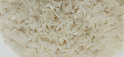 برنج فجر هشتپر تالش ۱۲۰ روزه