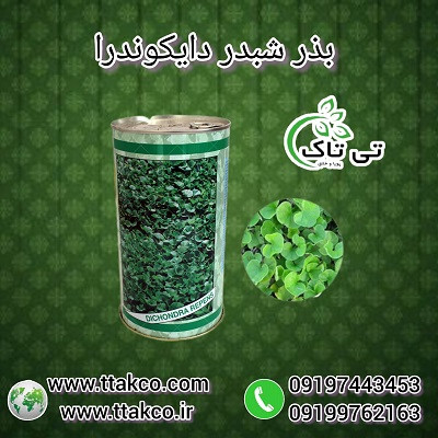 بذر چمن دایکوندرا، بذر چمن ایتالیایی، بذر شبدر دایکوندرا، بذر شبدر رونده 09190993466