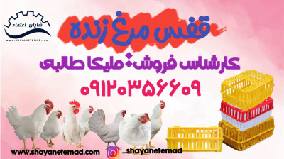 قفس حمل طیور فروش سبد حمل مرغ زنده با قیمت ویژه