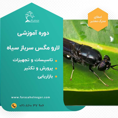 دوره آموزشی پرورش لارو سیاه مگس سرباز