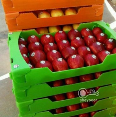 فروش کارتن بسته بندی میوه و قارچ ، صادرات میوه ، کارتن پلاست