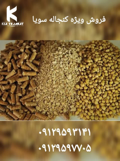 فروش کنجاله سویا