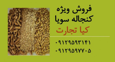 فروش کنجاله سویا