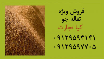 فروش تفاله جو