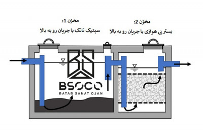 سپتیک بیوفیلمی