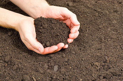 فروش خاک رس -قیمت خاک رس 