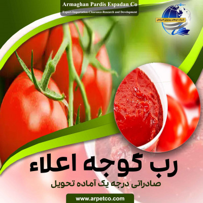 رب گوجه فرنگی صادراتی