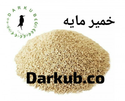 فروش خمیر مایه خشک فوری 