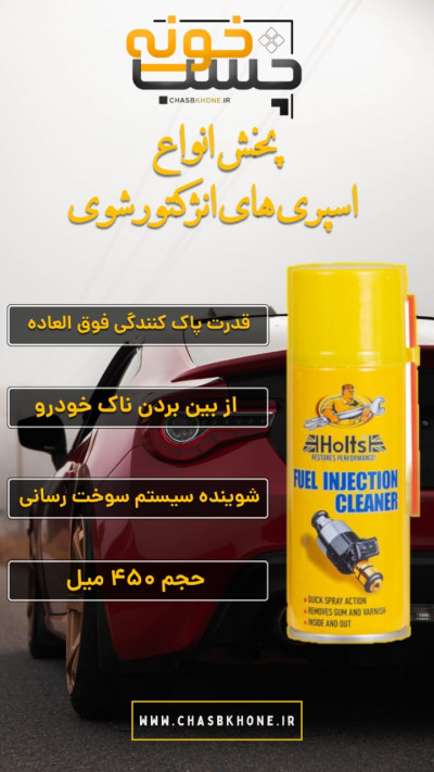 اسپری انزکتور شوی HOLTS