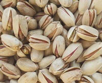 فروش انواع پسته جهت صادارت