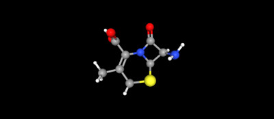 7-آمینودازاستوکسی سفالوسپورانیک اسید شماره Cas 22252-43-3