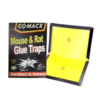 تولید و پخش عمده چسب موش کتابی کمک (COMACK)
