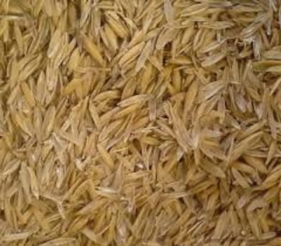 فروش عمده سبوس  و خاکستر سبوس برنج (Ash Rice ) 