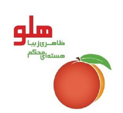 فروش نرم افزار حسابداری هلو متوسط برای تولیدی