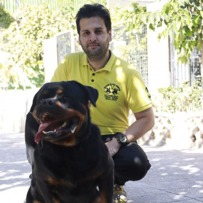 فروش سگ روتوایلر وارداتی پرونده پزشکی تکمیل