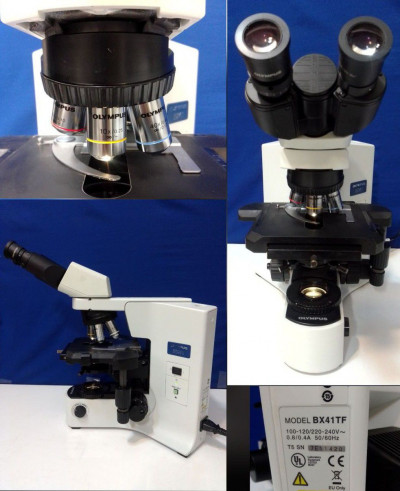 میکروسکوپ بیولوژی الیمپوس ازمایشگاهی bx