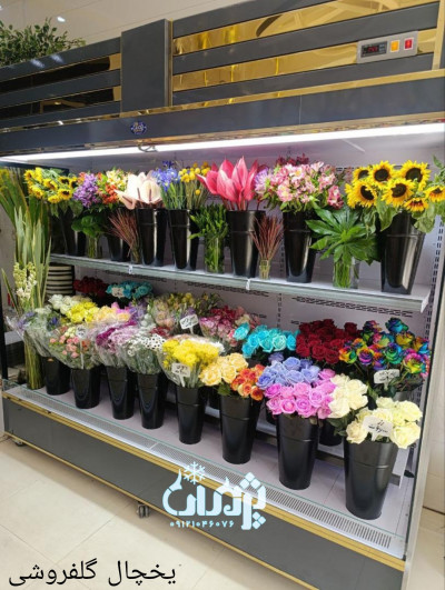 طرحهای مختلف یخچال گلفروشی 