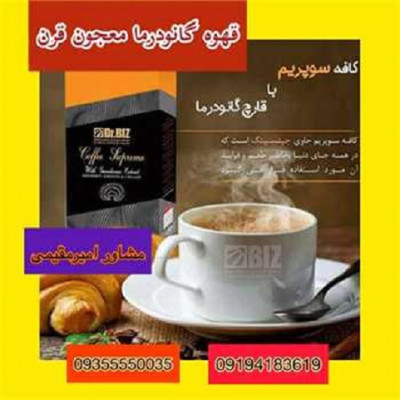  فروش مستقیم قهوه گانودرما دکتر بیز بدون واسطه 