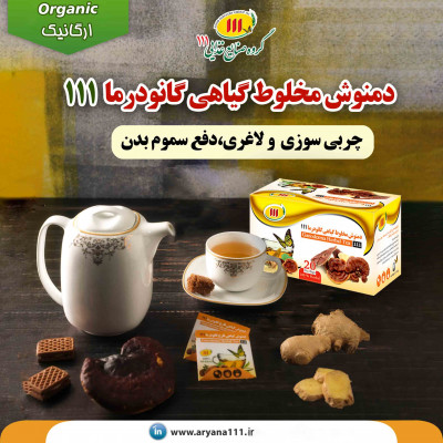 چربی سوزی با قارچ گانودرما