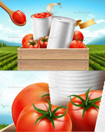 تولیدکننده رب گوجه فرنگی 