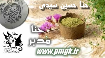 حنا صادراتی مدبر و حسین سیدی 