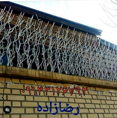 جوشکار سیوان