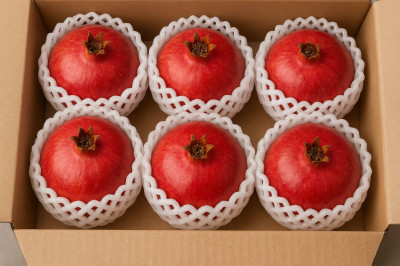 فوم ضربه گیر بسته بندی | فوم میوه انار09190993466