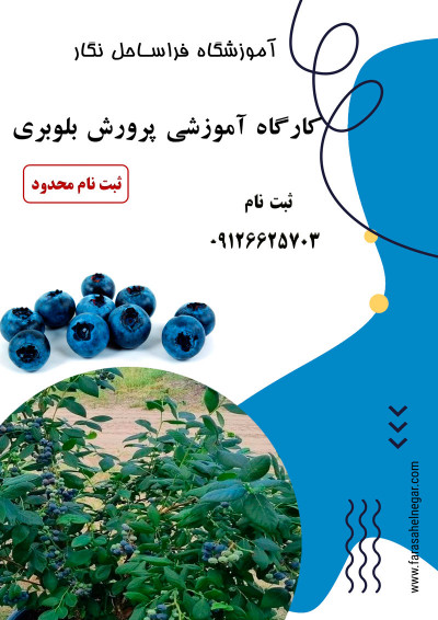 دوره آموزشی پرورش بلوبری