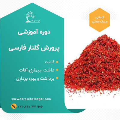 کاشت صفر تا صد گلنار فارسی