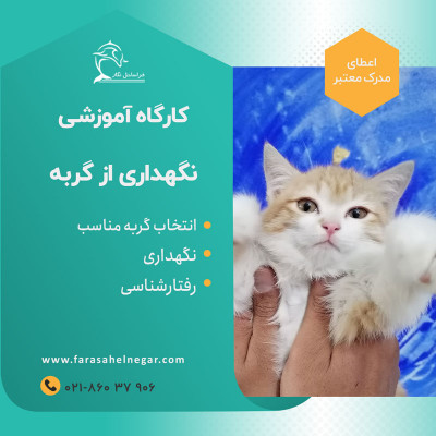 دوره تخصصی آموزش نگهداری گربه