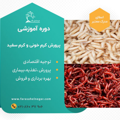پکیج آموزش پرورش کرم خونی و پرورش کرم سفید