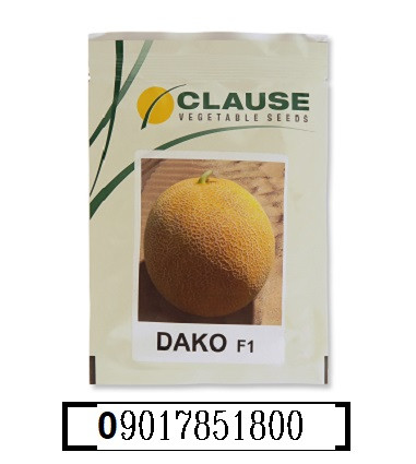 فروش بذر ملون داکو کلوز ( بذر خربزه DAKO F1 )