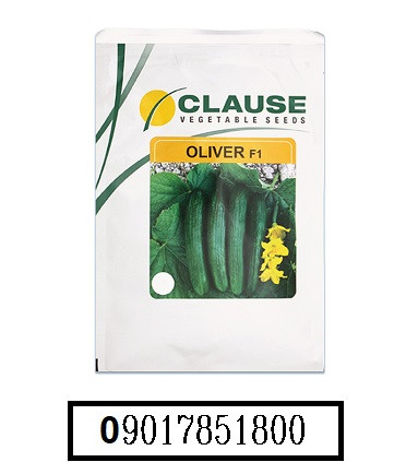 فروش بذر خیار الیور کلوز (OLIVER F1 )