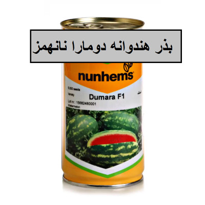 فروش بذر هندوانه کریمسون سوئیت دومارا