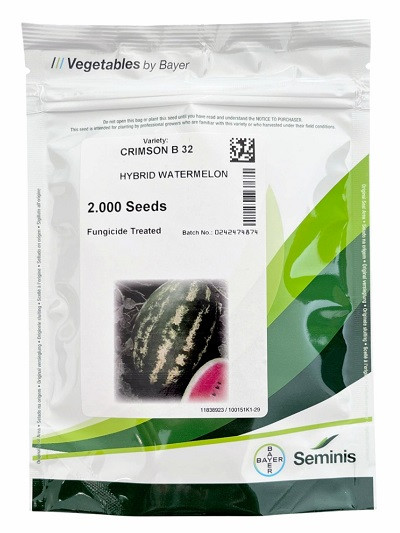 فروش بذر هندوانه سمینیس بی 32