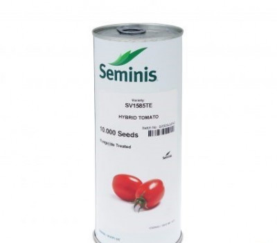 فروش بذر گوجه فرنگی 1585 سیمینس 