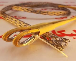 کابل شلاقی ایمنی جورابی WHIPSOCKS HOSE