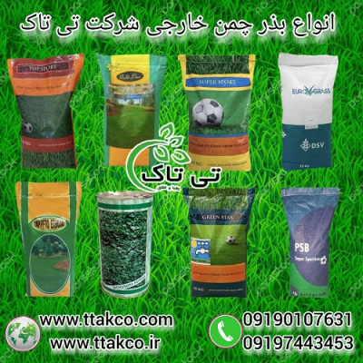بذرچمن هلندی ، بذرچمن برموداگراس ، بذرچمن دایکوندرا 09190768462