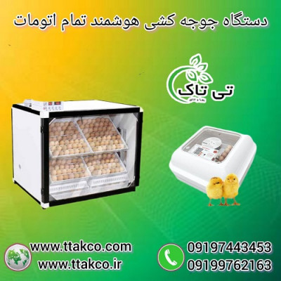 دستگاه جوجه کشی هوشمند تمام اتومات صنعتی و خانگی
