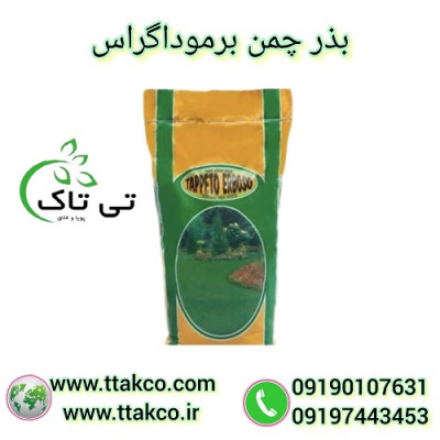 بذرچمن برموداگراس | بذرچمن گرمسیری افریقایی  - 09190993466
