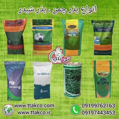 بذرچمن هلندی ، بذرچمن فضای سبز - تی تاک 09190993466