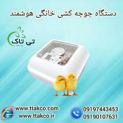 دستگاه جوجه کشی خانگی تمام اتوماتیک ( تی تاک ) 09190993466