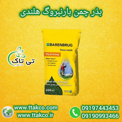قیمت هر کیلو بذر چمن 09199762163
